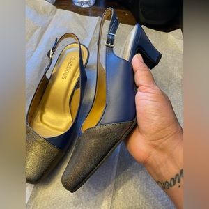 Navy Blue Classique Shoes